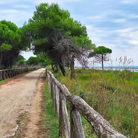 Spacious Flat With Large Terrace-beahost