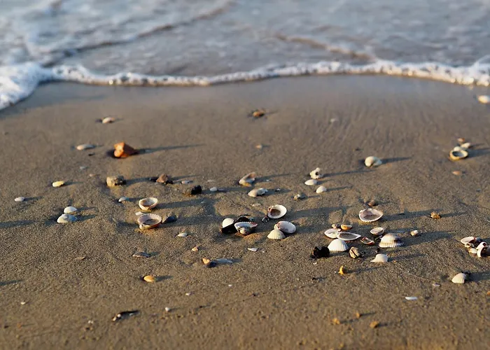 Spacious Flat With Large Terrace-beahost ביביונה